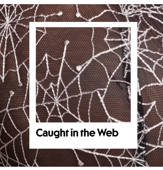 Caught in the web